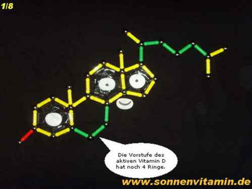 vitamin_D_Vorstufe_steroid