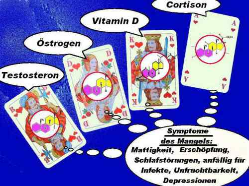 Steroid-mangelsyndrome-Testosteron-Estrogen-VitaminD-Cortison