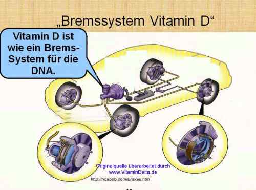 Folie051 Vitamin D Bremssystem