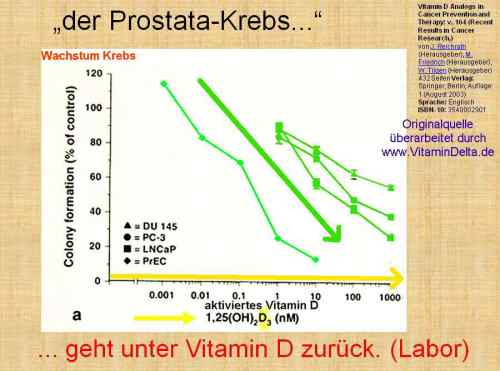 Folie055 Vitamin D Prostata Krebs Rückgang